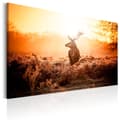 Miniatyrbild 1 av 4: Canvas Tavla - Deer in the Sun