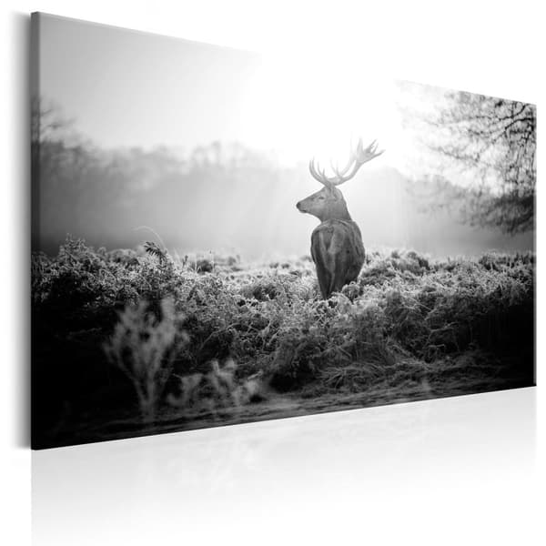Canvas Tavla - Black and White Deer