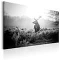 Miniatyrbild 1 av 4: Canvas Tavla - Black and White Deer