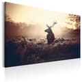 Miniatyrbild 1 av 4: Canvas Tavla - Lurking Deer