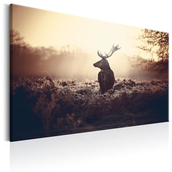 Canvas Tavla - Lurking Deer 90x60