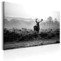 Miniatyrbild 1 av 4: Canvas Tavla - Deer in the Wild