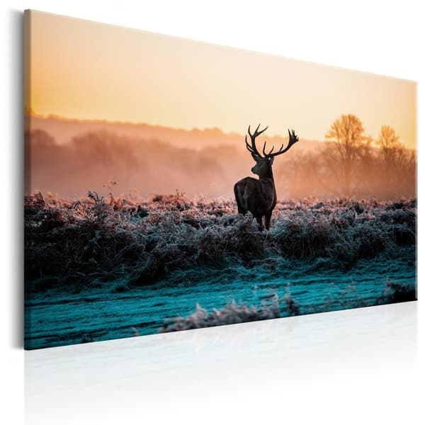 Canvas Tavla - Frosted Field 120x80