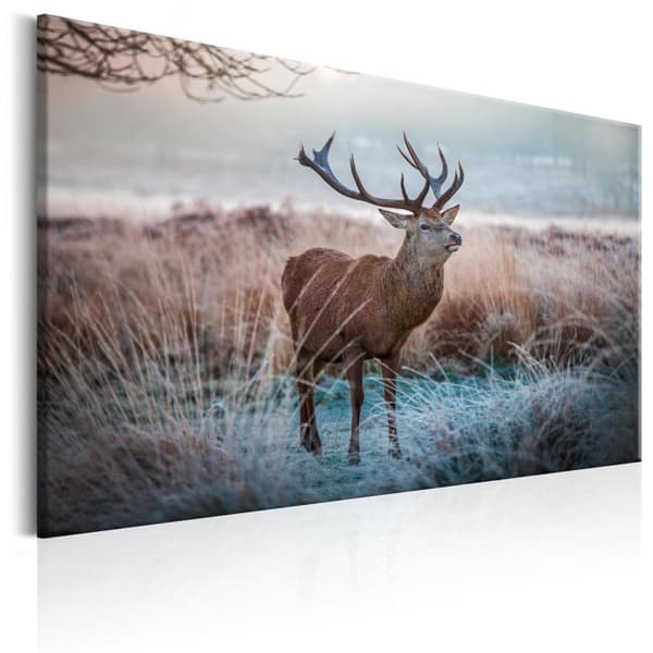 Canvas Tavla - Wild Animal 90x60