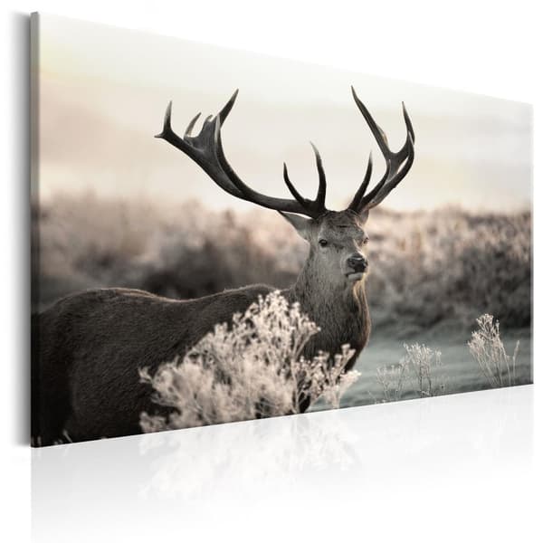 Canvas Tavla - Powerful Horns