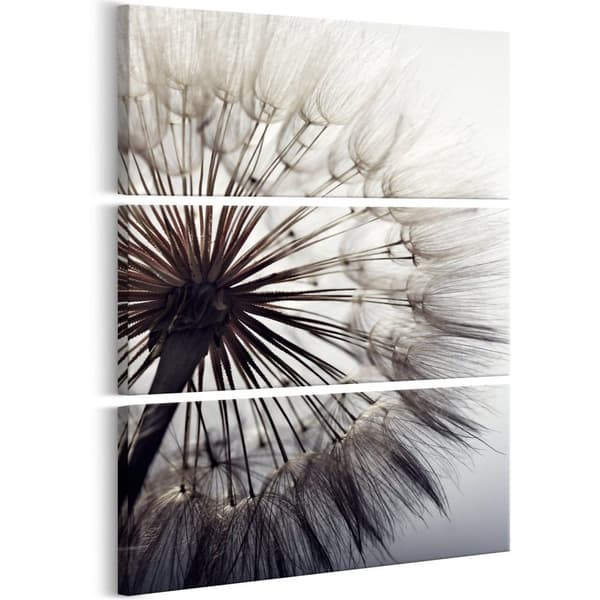 Canvas Tavla - Pure Delicacy I 60x90