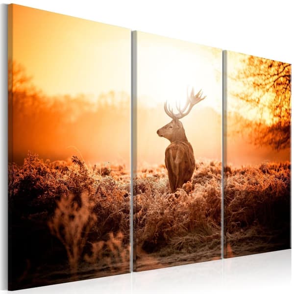 Canvas Tavla - Deer in the Sun I 120x80