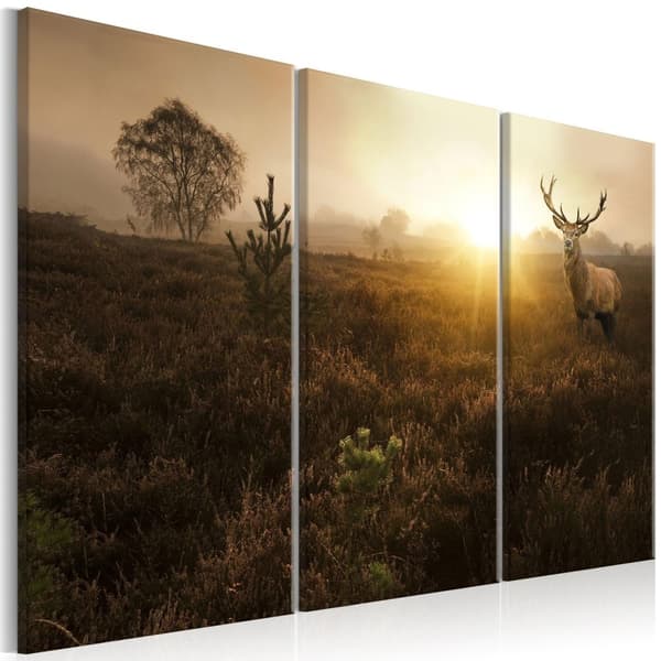 Canvas Tavla - Foggy Field I 120x80