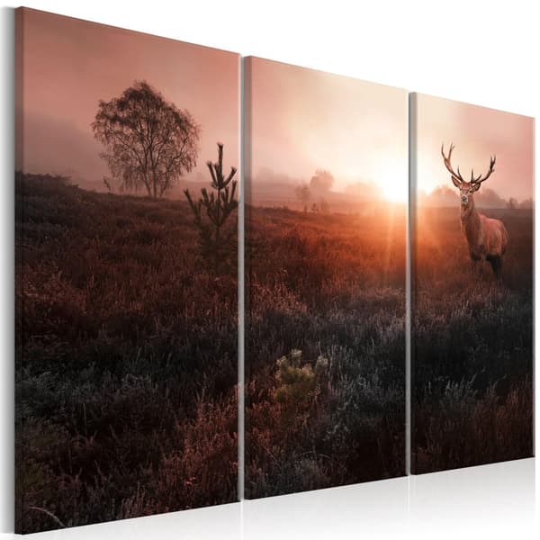 Canvas Tavla - Deer in the Sunshine I