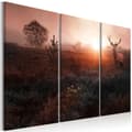 Miniatyrbild 1 av 4: Canvas Tavla - Deer in the Sunshine I