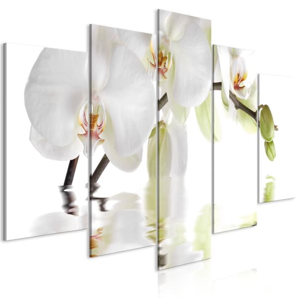 Canvas Tavla - Wonderful Orchid (5 delar) Wide
