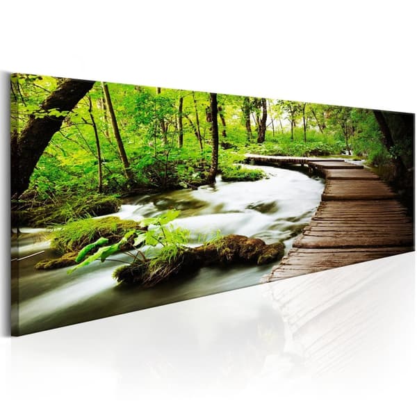 Canvas Tavla - Forest Song