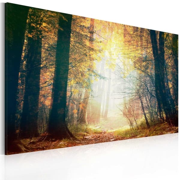 Canvas Tavla - Skönheten i höst