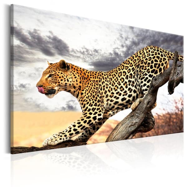 Canvas Tavla - Predatory Stare