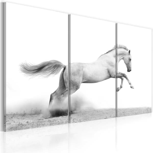 Canvas Tavla - A galloping horse