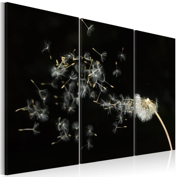 Canvas Tavla - Dandelions- the transience 120x80