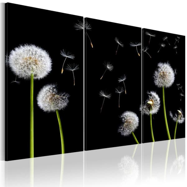 Canvas Tavla - Dandelions family