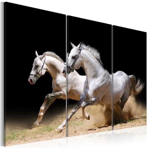 Canvas Tavla - Horses- power and velocity 60x40