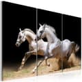 Miniatyrbild 1 av 4: Canvas Tavla - Horses- power and velocity