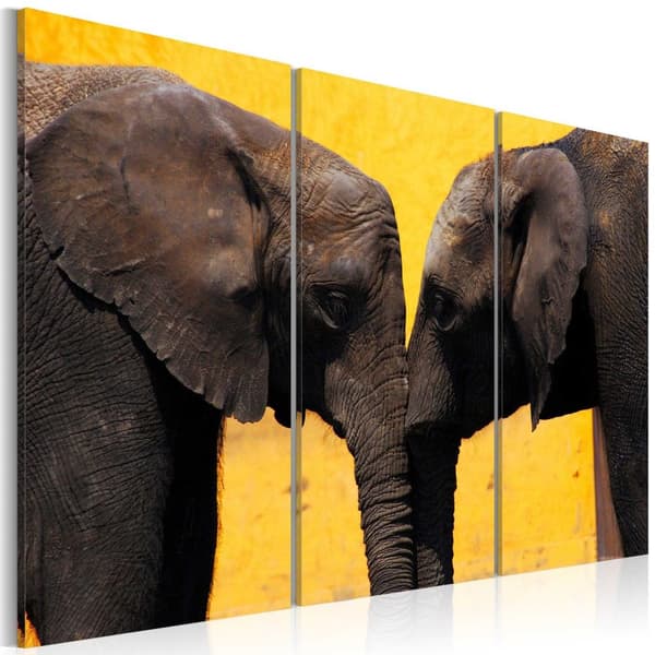 Canvas Tavla - Elephant kiss
