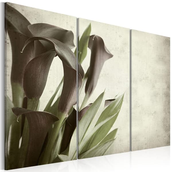 Canvas Tavla - callas - vintage