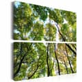Miniatyrbild 1 av 4: Canvas Tavla - Treetops