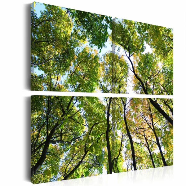 Canvas Tavla - Treetops 90x90