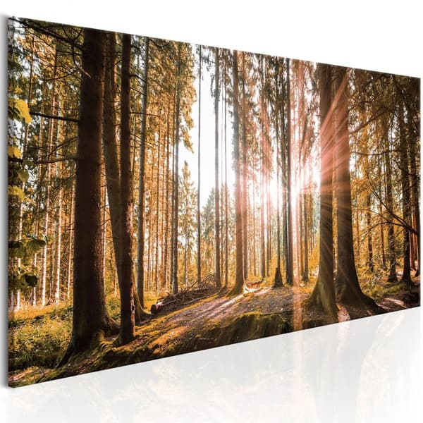 Canvas Tavla - Small Natural Wonders 150x50