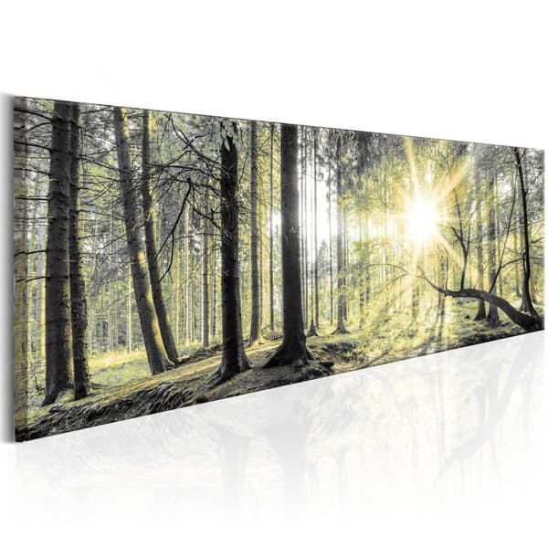Canvas Tavla - Morning Forest