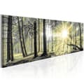Miniatyrbild 1 av 4: Canvas Tavla - Morning Forest