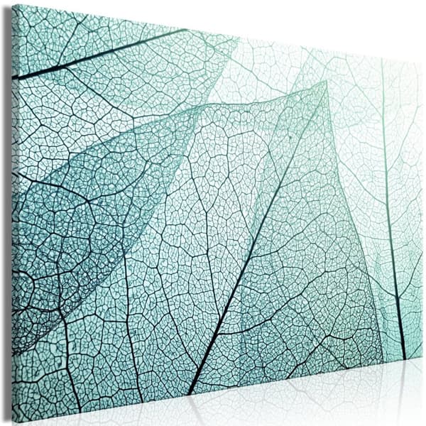 Canvas Tavla - Macroflora Wide 60x40