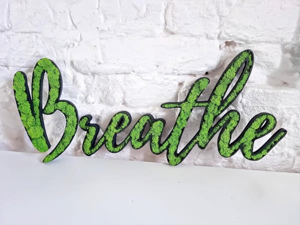 Mossbild mossa naturlig väggdekoration vardagsrum badrum väggmålning 80 x 35 cm BREATHE