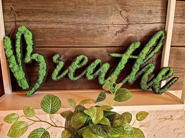Mossbild mossa naturlig väggdekoration vardagsrum badrum väggmålning 80 x 35 cm BREATHE
