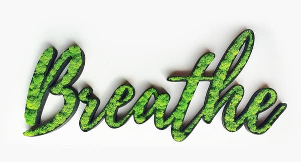 Mossbild mossa naturlig väggdekoration vardagsrum badrum väggmålning 80 x 35 cm BREATHE