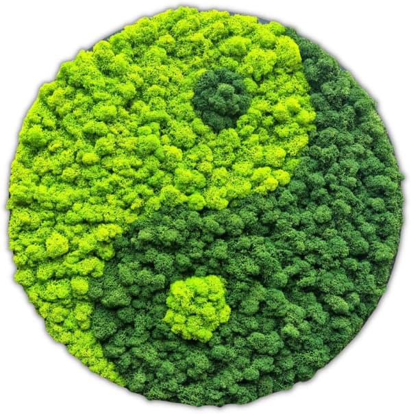 Moss Billede Rund dekoration Stue Soveværelse Badeværelse Vægdekoration Moss Living Bevaret 100 cm Yin Yang Grøn