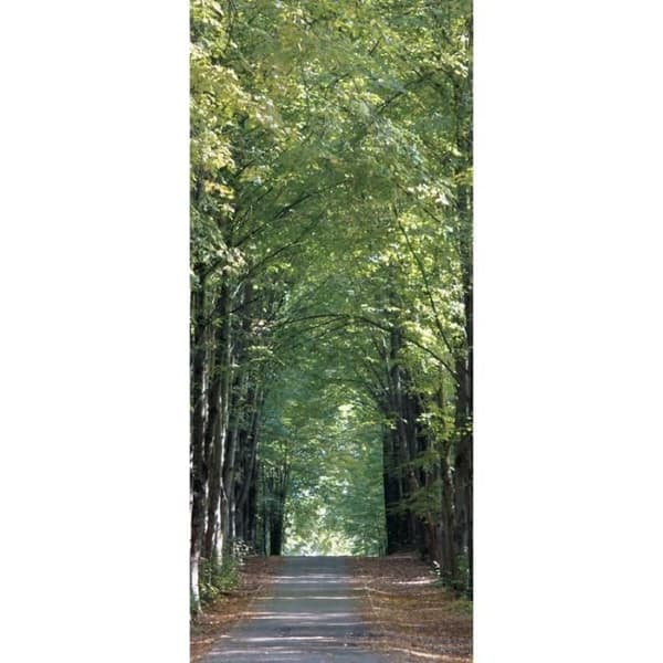 Park lane, non-woven fototapet, 90 x 202 cm, 1 del