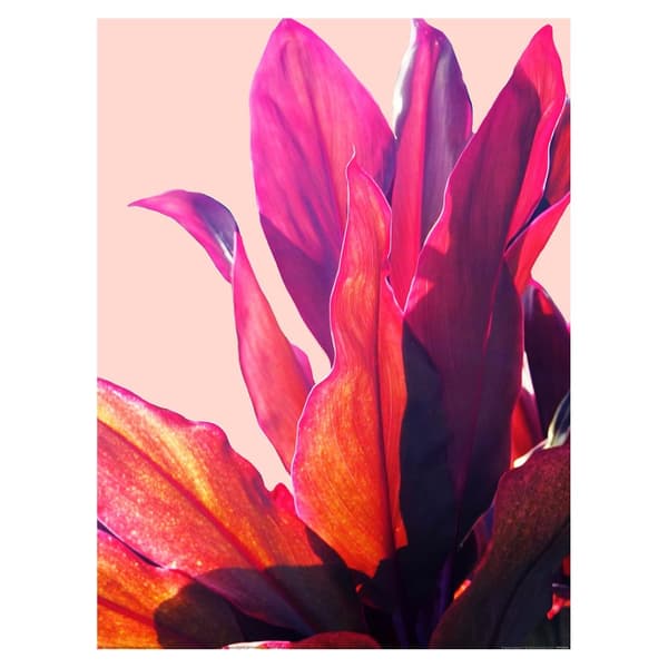 Gemma Bardot Tropical Leaves II Paper Print Pink/Beige 40cm x 30cm
