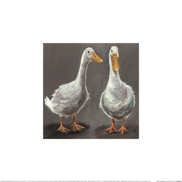 Louise Brown What´s Up Duck Print