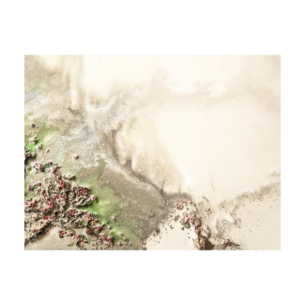 Petra Meikle De Vlas Natures Oasis Print