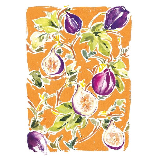 Rose Jocham Botanical Figs Paper Print Orange/Purple/Green 40cm x 30cm