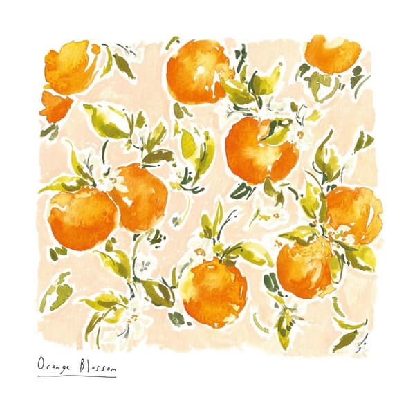Rose Jocham Orange Blossom Paper Print Orange/Green 40cm x 40cm