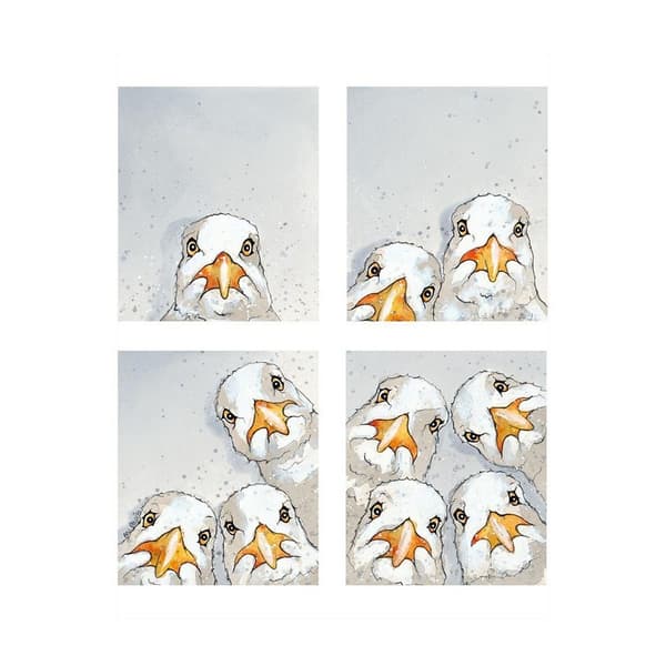 Bev Davies Photobooth Seagull Print