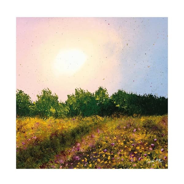 Siobhan McEvoy Wildflower Meadow Paper Print Multicoloured 40cm x 40cm