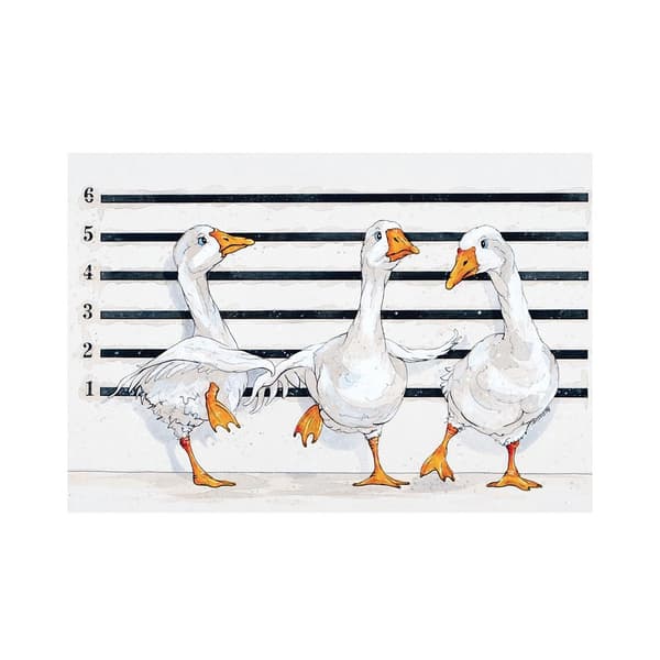 Bev Davies Line Up Geese Print White/Black 40cm x 50cm