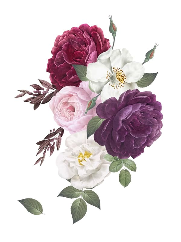 Veggklistremerke - Fargerik Peony og hvit tusenfryd blomster