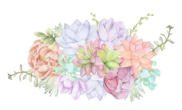 Veggklistremerke - Myke Echeveria Kaktusblomster