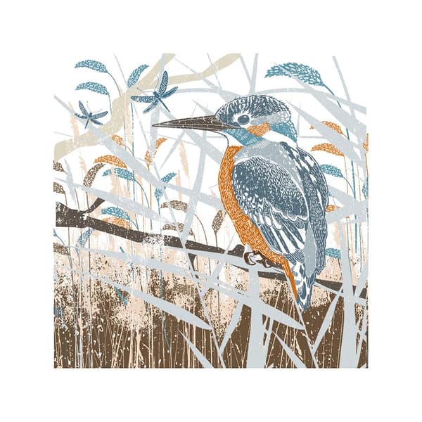 Summer Thornton Woodland Nature Kingfisher Print