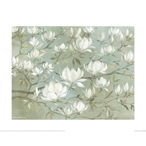 Diane Demirci Vit magnolia tryck
