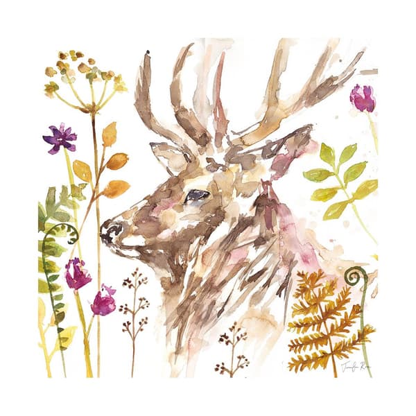 Jennifer Rose Stag Print