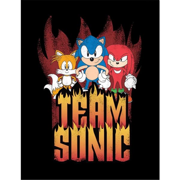 Sonic The Hedgehog Team Sonic Framed Poster Multicoloured 40cm x 30cm